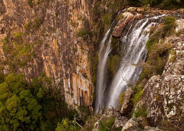 Byron Bay Hinterland Tour Including Rainforest Walk to Minyon Falls - Good To Know