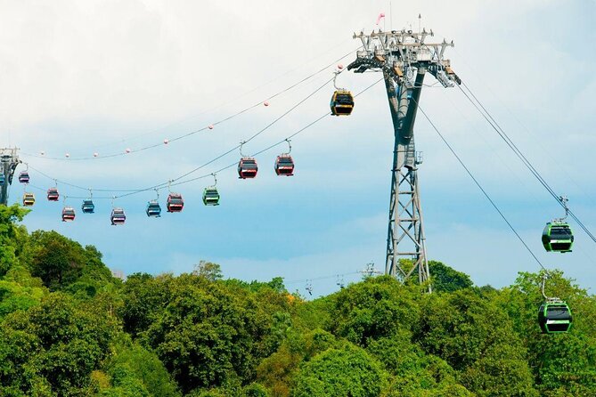 Cable Car Ride Round Trip With Arbora Set Lunch - Good To Know