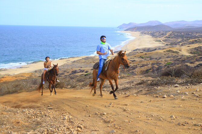 Cabo Horseback Riding on Pacific Beach and Desert - Good To Know