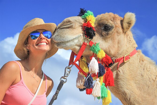 Cabo San Lucas Baja Desert Camel Ride