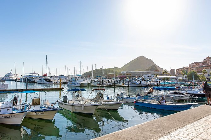 Cabo San Lucas City Tour - Good To Know