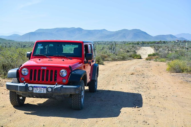 Cabo San Lucas Private Full-Day Sightseeing Jeep Tour - Tour Overview