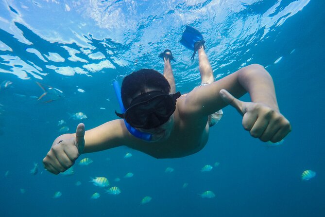 Cabo Tour to the Arch and Whale Watching, Live 3 Excursions for the Price of One