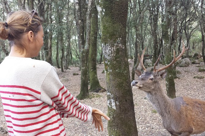 Cagliari: Is Cannoneris Nature Reserve Jeep and Walking Private Tour From Chia