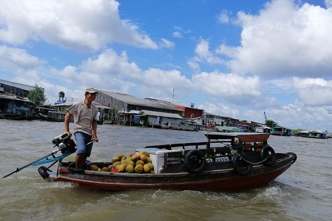 Cai Rang Floating Market and Mekong Delta 1 Day - Itinerary Overview
