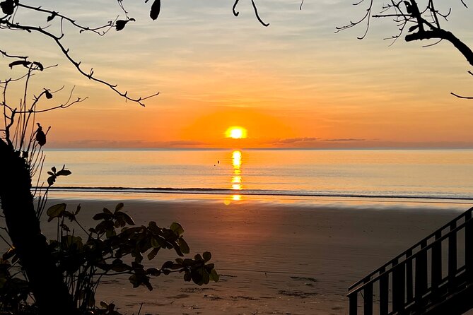 Cairns Airport to Port Douglas Private Transfers