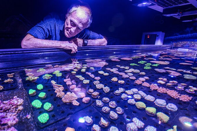 Cairns Aquarium General Admission & Coral Biobank Tour - Good To Know