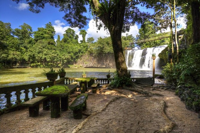 Cairns to Heberton Historic Village and Paronella Day Trip - Cairns & the Tropical North