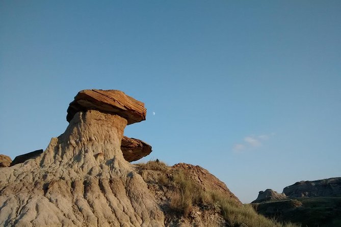 Calgary to Royal Tyrrell Museum Drumheller – PRIVATE TOUR