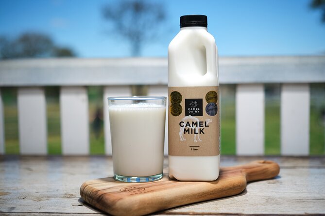 Camel Farm Tour and Taste