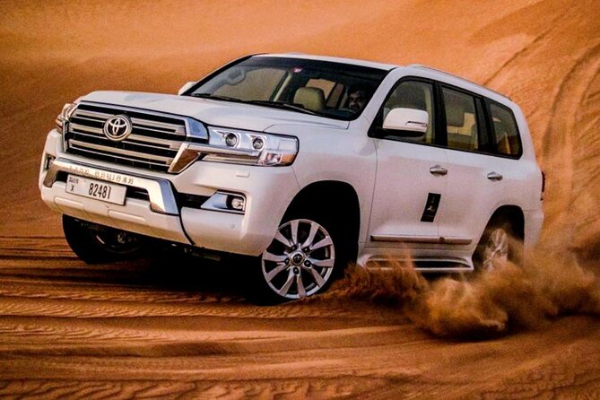 Camel Ride Dubai - Good To Know