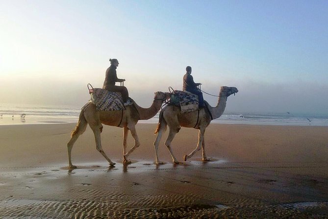 Camel Ride on the Beach of Essaouria