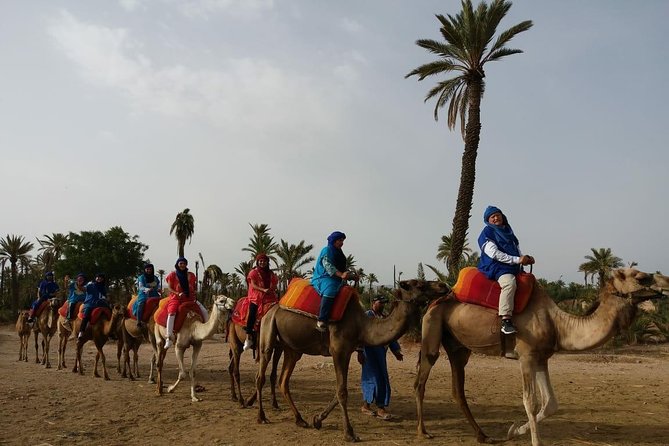 Camel Ride & Quad Bike Tours in the Palm Grove of Marrakech - Good To Know