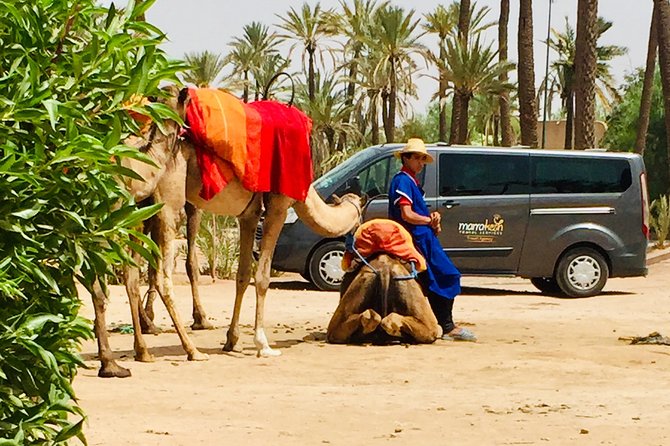 Camel Ride & Quad Biking Half Day in Marrakech - Good To Know