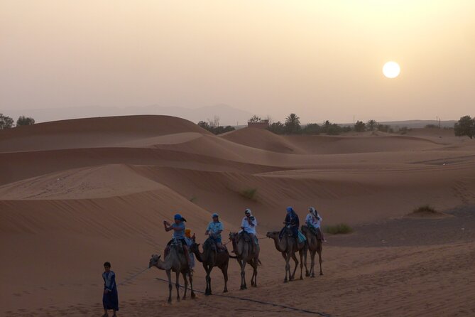 Camel Ride