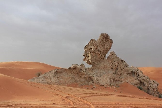 Camel Rock Desert Safari Dubai With Bbq Dinner Camel Ride Sand Boarding & More - Good To Know