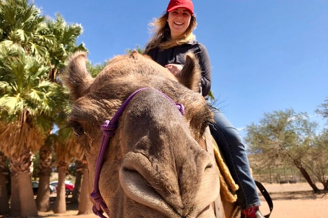 3 Best Safari Tours In Nevada