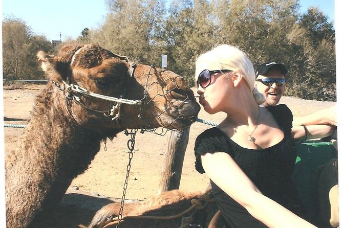 6 Best Safari Tours In Gran Canaria