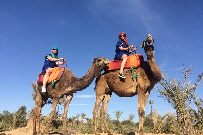 Camel Trek Around Marrakech Palmeraie - Pickup Details