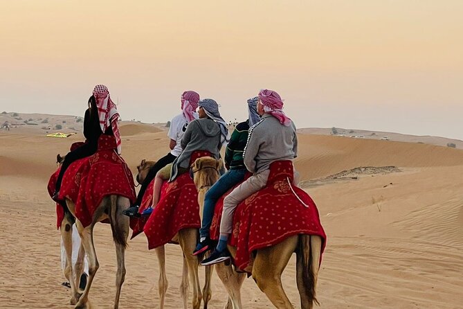 Camel Trekking Tour in Dubai Desert BBQ Dinner Sand Boarding Live Shows... - Good To Know