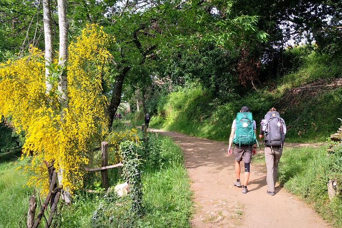 Camino De Santiago Last 100 Km Sarria to Santiago De Compostela - Good To Know