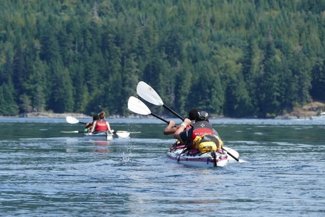 Campbell River Full Day Whale Watching and Kayaking Tour  - Vancouver Island - Tour Overview