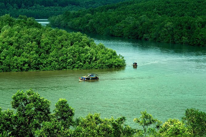 Can Gio Mangrove Biosphere Reserve 1 Day - Best Time to Visit Can Gio Mangrove Biosphere Reserve