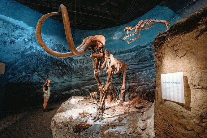 Canadian Badlands and Hoodoo Trail Full-Day Tour From Calgary