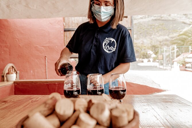 Canarian Wine Experience at Bodega Los Lirios