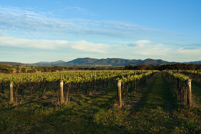 Canberra Murrumbateman Winery Expedition: Full Day - Good To Know