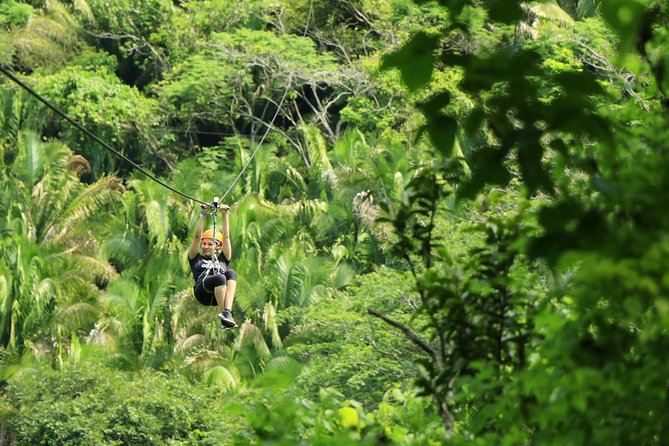 Canopy River Zipline Tour and Mule Ride