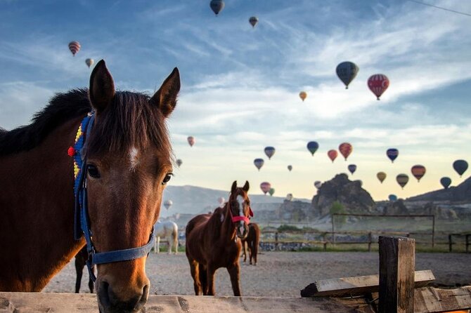Cappadocia Horse Riding Experience Sunrise Sunset Daytime - Good To Know
