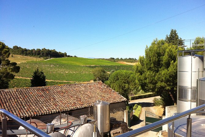 Carcassonne Private Half-Day Winery Visits and Tasting