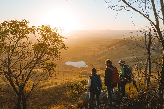 3 Best Guided Tours In Queensland