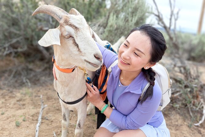 Carson City Small-Group Morning Walk With Goats  – Reno