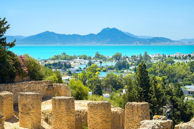 Carthage Discovery Half-Day Tour From Tunis or Hammamet - Good To Know