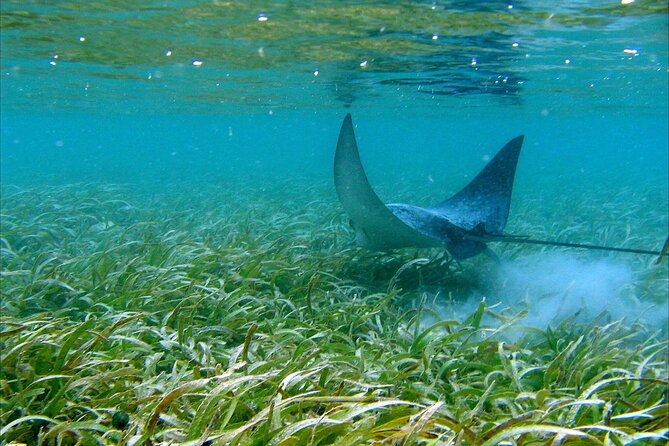 18 Best Canoe And Kayak Experiences In St Thomas