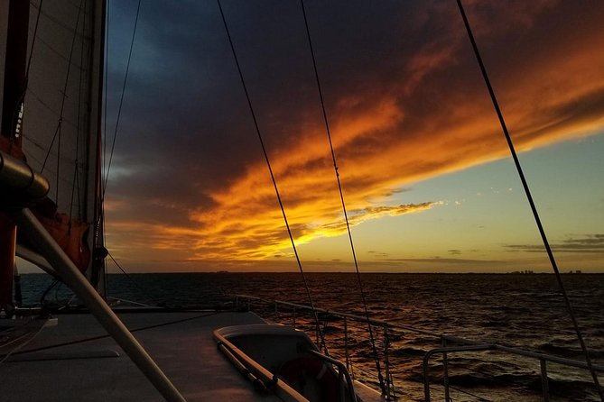 Castaway the Day Sunset Cruise in Miami - Good To Know