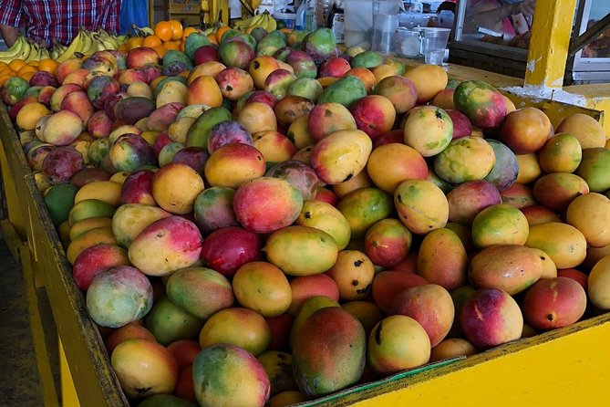 Casual One Puerto Rico: El Yunque Rainforest, Waterslide, Beach, Dine, and Shop