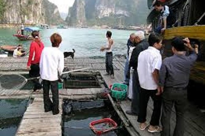 Cat Ba Cooking Class Go to Market With Seafood From Cat Ba Town - Fresh Fish and Seafood in Cat Ba Island