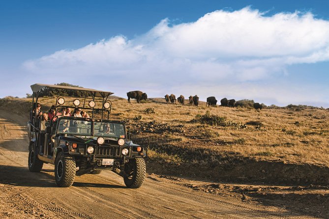 Catalina Island Cape Canyon Off-Road H1 Hummer Tour With Lunch
