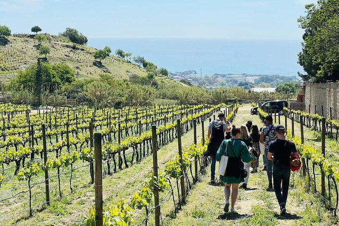 Catamaran, Alella Winery & Ecological Wine Tasting From Barcelona - Good To Know