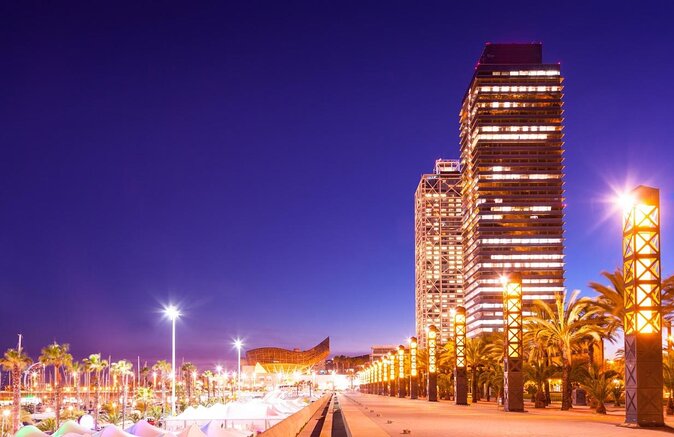 Catamaran Experience 24-28 Passengers From Port Olimpic Barcelona - Good To Know