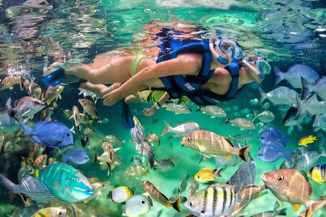 Catamaran Party Boat Half Day Trip With Snorkeling and Natural Pool - Trip Highlights