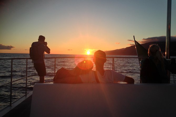 Catamaran Sunset Cruise From Funchal