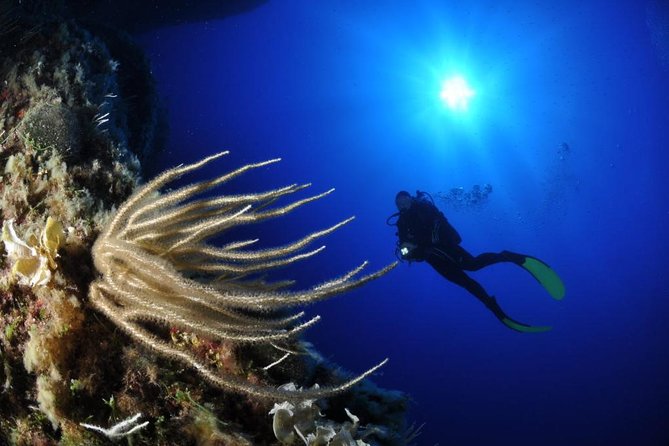 Catania: Scuba Diving Experience