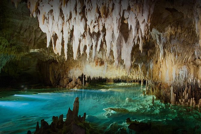 25 Best Tours In Grand Cayman