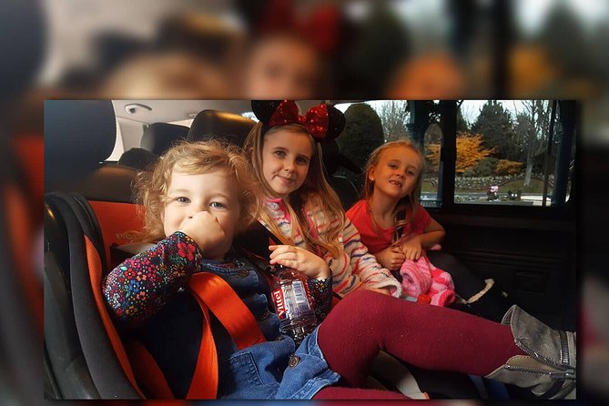 CDG - Euro Disney One Way Private Shuttle Transfer - Good To Know