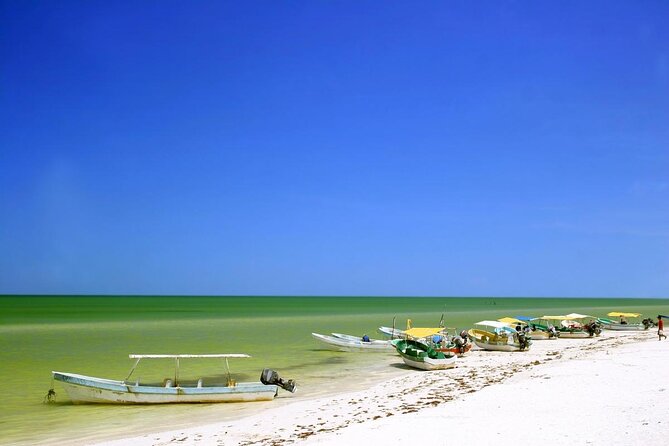 Celestun Nature Reserve Flamingo Tour-Boat to Flamingo Paradise From Merida - Good To Know