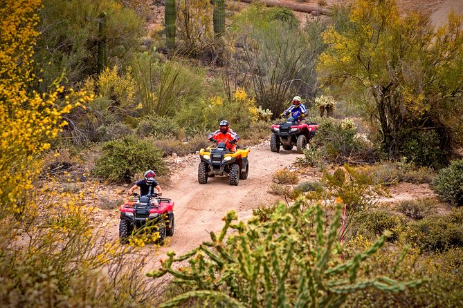 Centipede Tour - Guided Arizona Desert Tour by ATV - Good To Know